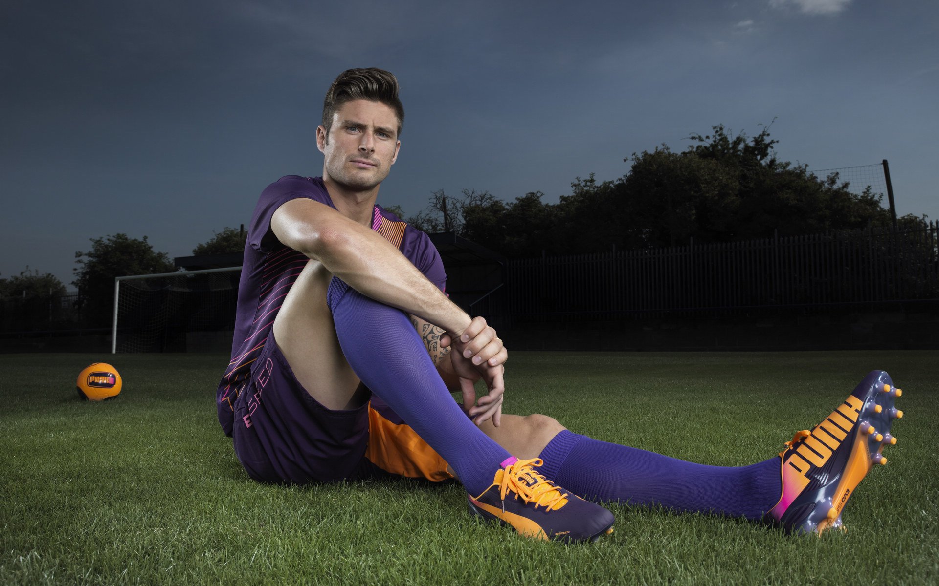 体育赛事粉丝增长数据报告